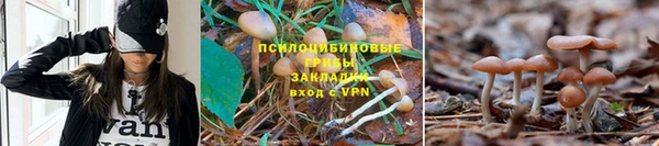 шишки Навашино