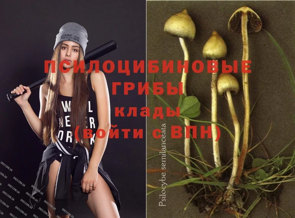гидропоника Ачинск